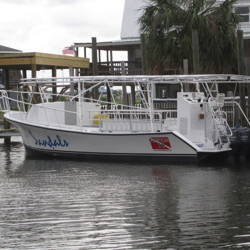 Barco profesional barco de visión submarina - Newton 36' - Newton Boats - fueraborda / de fibra de vidrio