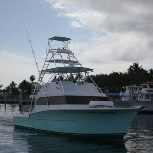 Yate a motor de chárter - 53'  - Newton Boats - de pesca deportiva / con fly / casco de planeo