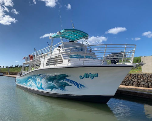 Barco profesional barco turístico - 53'  - Newton Boats - embarcación de apoyo al buceo