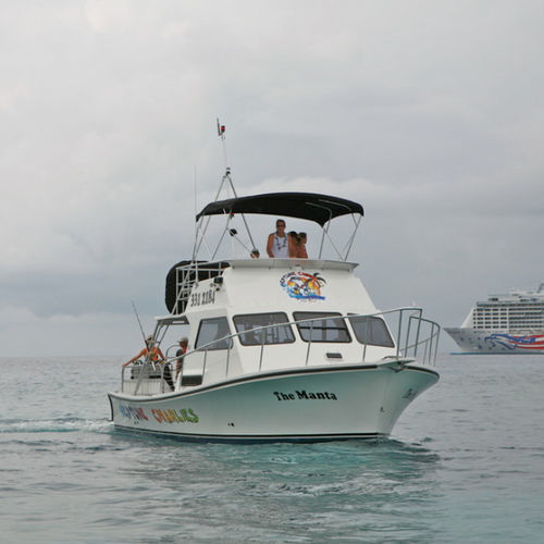 Barco profesional barco de pasajeros - Newton 36' - Newton Boats - embarcación de apoyo al buceo / intraborda / de fibra de vidrio