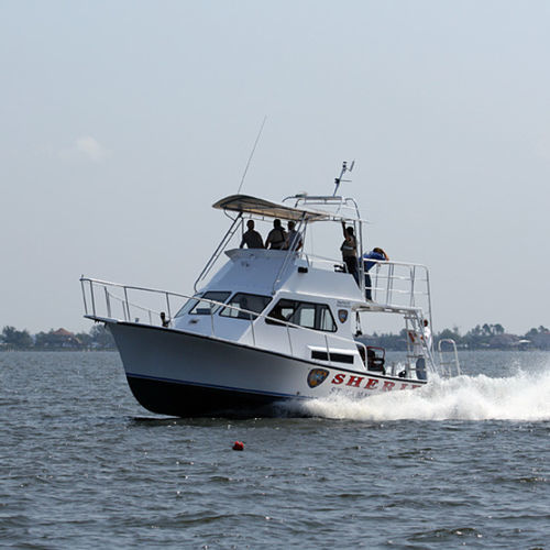 Barco profesional barco de búsqueda y rescate - 36' - Newton Boats - intraborda