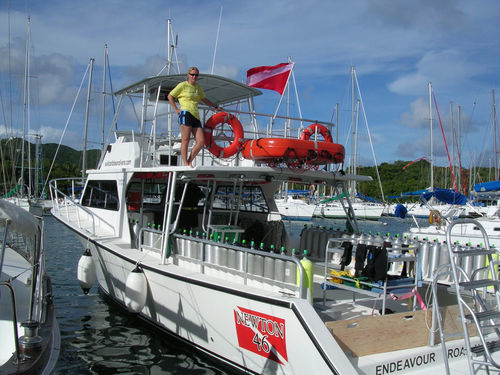 Barco profesional embarcación de apoyo al buceo - 46' Dive Special - Newton Boats - intraborda