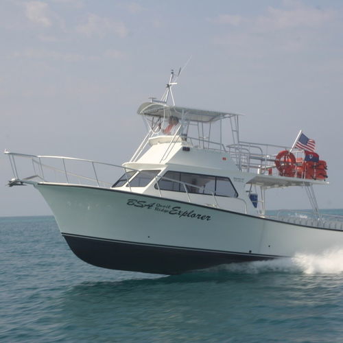 Barco cabinado intraborda - 46'  - Newton Boats - bimotor / con fly cerrado / de chárter