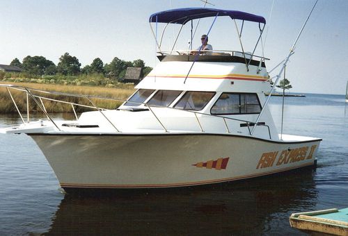 Barco cabinado intraborda - 32'  - Newton Boats - bimotor / con fly / de pesca deportiva