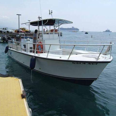 Barco open intraborda - Newton 31' - Newton Boats - diésel / casco de planeo / con consola central