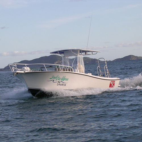 Barco open intraborda - Newton 26' - Newton Boats - con motor diésel / con consola central / con hard-top