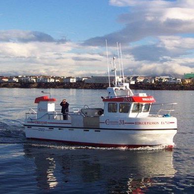Barco profesional barco de pesca profesional - 31 - Trefjar - intraborda