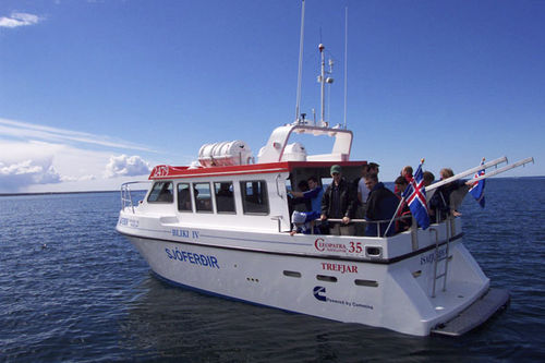 Barco profesional barco de pasajeros - CLEOPATRA 35 - Trefjar - intraborda