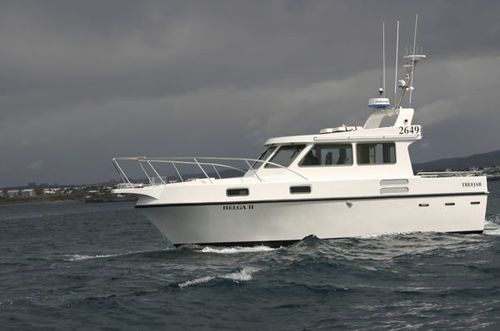 Barco cabinado intraborda - Trefjar - diésel / con caseta de timón / de pesca deportiva