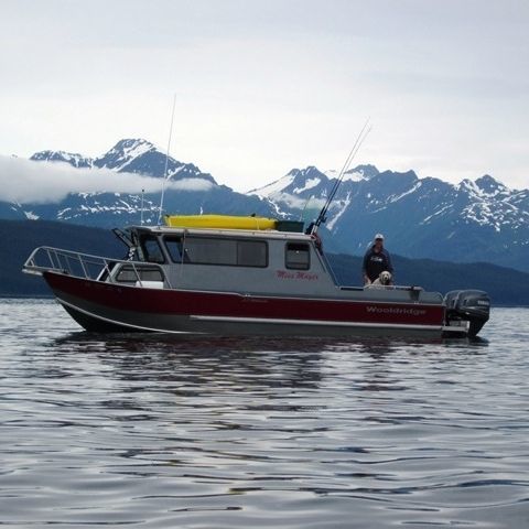 Barco de motor de pesca-paseo fueraborda - 29' SS PILOTHOUSE - Wooldridge - con caseta de timón / offshore / de aluminio