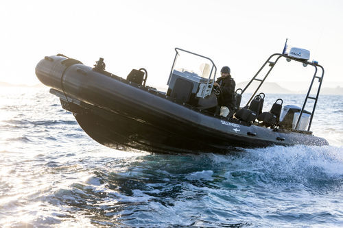 Barco profesional barco de vigilancia - 765 PRORAID  - Sillinger - barco de salvamento / embarcación de apoyo al buceo / embarcación de servicio portuario