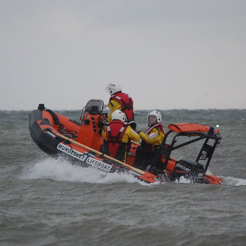 Barco profesional barco utilitario - RIBCRAFT 4.8 - RIBCRAFT - fueraborda / embarcación neumática semirrígida