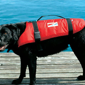 Chaleco de ayuda a la flotabilidad para animal doméstico - CAT + DOG - Grabner GMBH, Austria - para deportes náuticos / de espuma