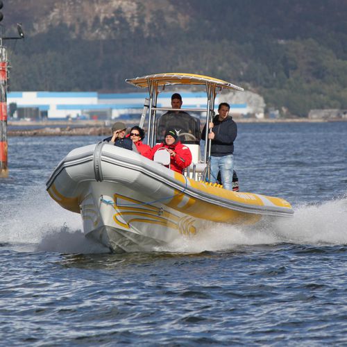 Barco profesional barco turístico - FAST-1100  - Narwhal - embarcación de apoyo al buceo / fueraborda / embarcación neumática semirrígida