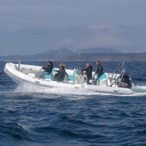 Barco profesional barco turístico - SP-800  - Narwhal - embarcación de apoyo al buceo / fueraborda / embarcación neumática semirrígida