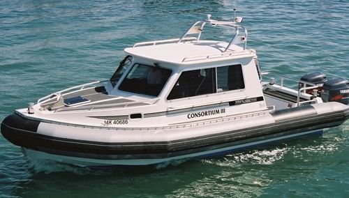 Barco profesional embarcación de servicio - T249XL CABIN - Titan - fueraborda / embarcación neumática semirrígida