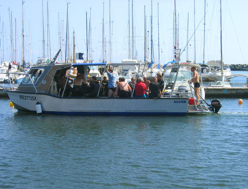 Barco profesional embarcación de apoyo al buceo - ALCOR - Chantier Naval Delavergne - fueraborda / de aluminio / con casco rígido