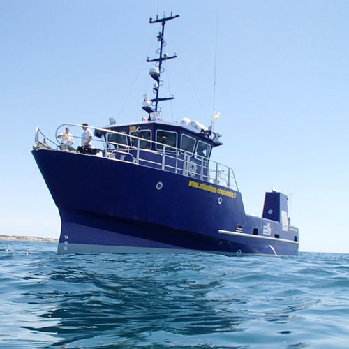 Barco profesional barco de trabajo - MINIPLON - Chantier Naval Delavergne - intraborda / de aluminio / con casco rígido