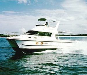 Barco cabinado catamarán - 3500 - Noosa Cat Australia - fueraborda / bimotor / con fly