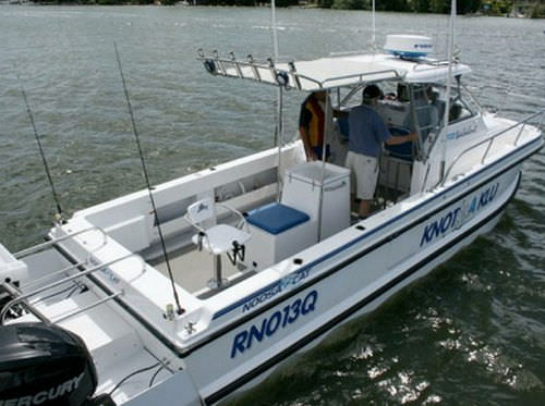 Walkaround catamarán - 3000 - Noosa Cat Australia - fueraborda