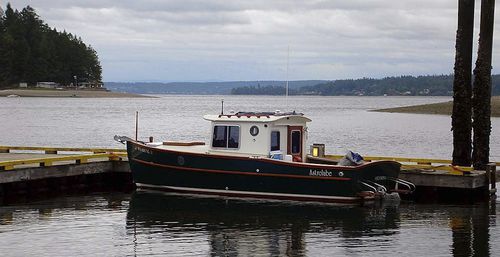 Cabin-cruiser fueraborda - Surf Scoter 22 - Devlin - diésel / de semidesplazamiento / con hard-top