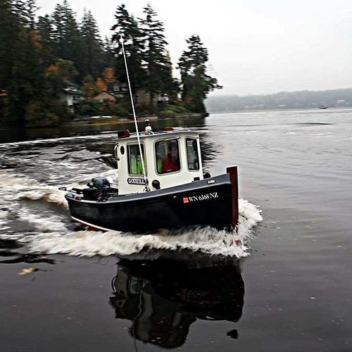 Barco de motor de pesca-paseo fueraborda - Godzilli 16 - Devlin - con caseta de timón