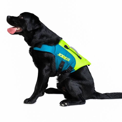 Chaleco de ayuda a la flotabilidad para deportes náuticos - Lime Teal - Jobe Sports - para animal doméstico / de espuma