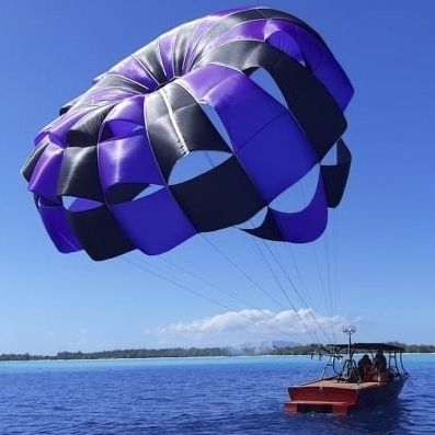 Parasail 1-4 plazas - Super Trade 44 - WATERBIRD PARAKITES