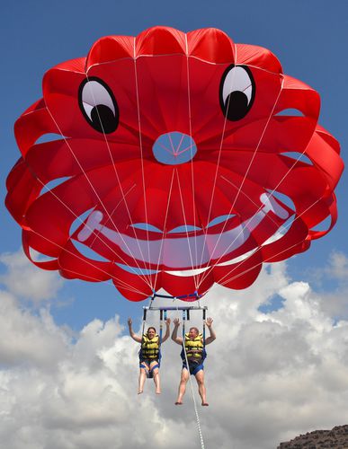 Parasail 1-4 plazas - SUPER TRADE 48 - WATERBIRD PARAKITES