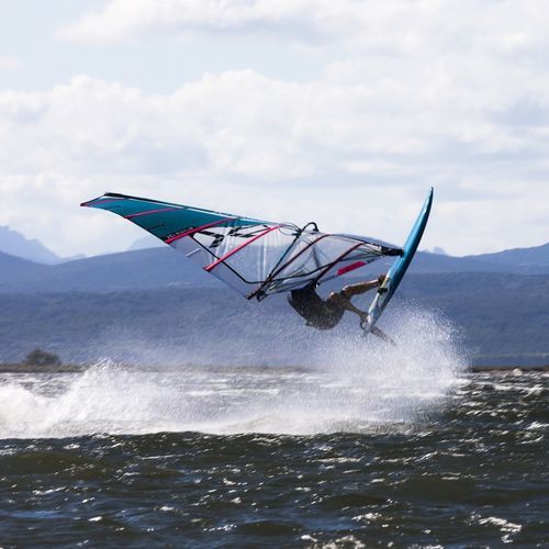 Vela de windsurf de freerace - Vega v7 - Exocet - 6 sables