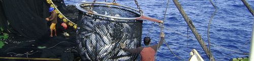 Sónar para buque - MF90 - Simrad - de muestreo lateral