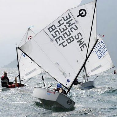 Vela mayor - SCHOOL - Olimpic Sails - para vela ligera / Optimist