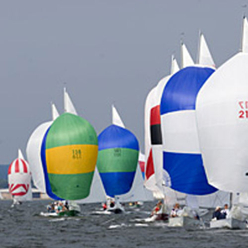 Spinnaker - SHIELDS  - Quantum Sails - para monotipo / cross-cut