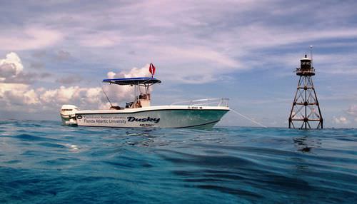 Barco open fueraborda - 252  - Dusky Marine - de pesca deportiva / con T-top