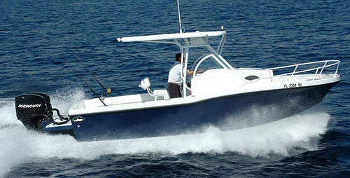 Walkaround fueraborda - 252 CRUISER - Dusky Marine - de pesca deportiva / con T-top
