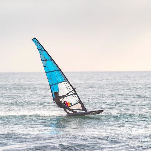 Vela de windsurf de deporte - VAPOR - Gaastra Windsurfing - de velocidad / de slalom / de regata