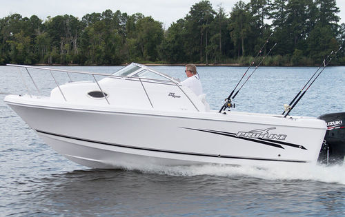 Day-cruiser fueraborda - 20 EXPRESS - Pro Line Boats - de pesca deportiva