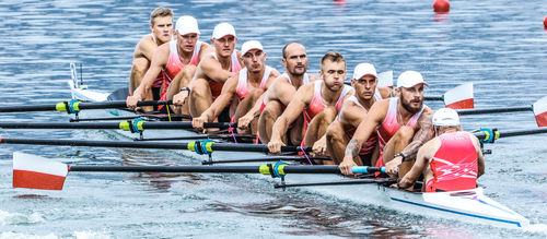 Bote de remo de regata - F29 - Filippi - ocho en punta / con timonel