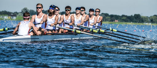 Bote de remo de regata - F41 - Filippi - ocho en punta / con timonel