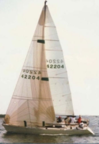 Vela mayor - Neilpryde Sails - vela de proa / para velero de carrera / corte triradiale