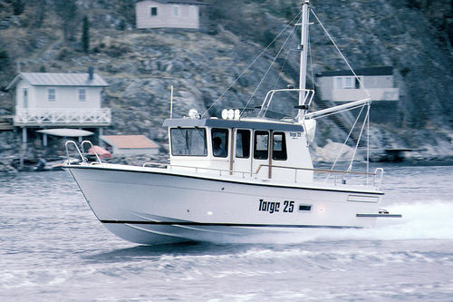 Walkaround intraborda - 25 MkII - Targa - con caseta de timón / con fly / de pesca deportiva