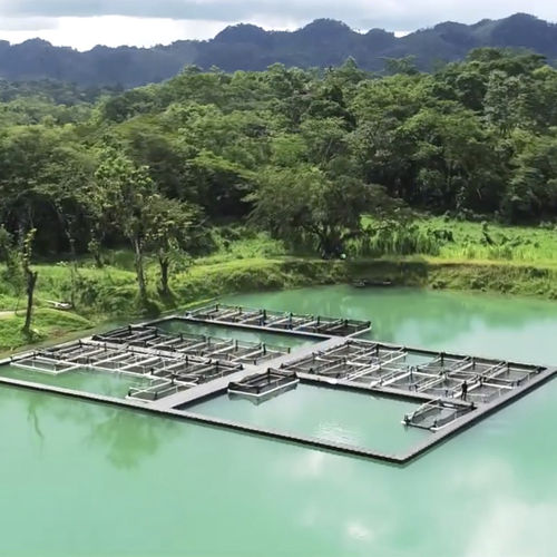 Plataforma flotante - Aquaculture - CANDOCK - para la acuicultura