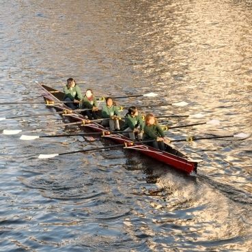 Bote de remo de regata - C5x- Karlisch - Baumgarten Bootsbau - de travesía / de recreo / cuatro scull