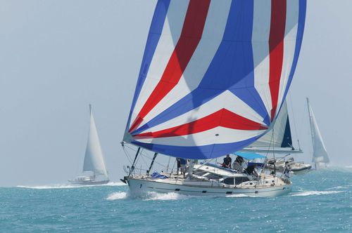 Tela para velas tejida - NYLITE / MAXILITE - Contender BV - ripstop / spinnaker