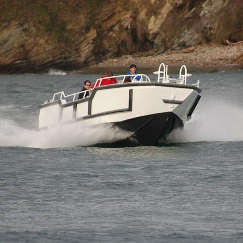 Barco profesional barco de trabajo - 900 TENDER - MOGGARO ALUMINIUM YACHTS - stern-drive / diésel / de aluminio