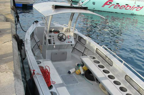 Barco profesional embarcación de apoyo al buceo - 900JET  - MOGGARO ALUMINIUM YACHTS - intraborda / de aluminio