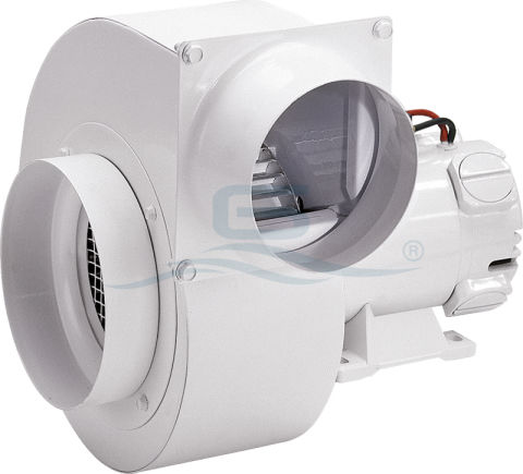 Ventilador para barco - C - GIANNESCHI PUMPS & BLOWERS - de achique / para sala de máquinas / centrífugo
