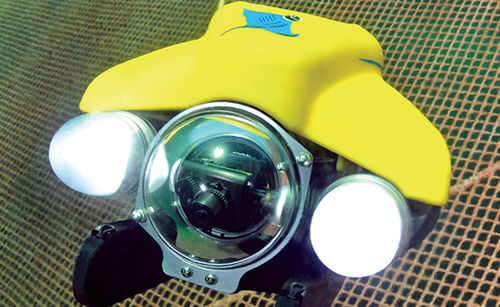 ROV submarino de intervención - Pro 4 IP65 BASE - VideoRay - para la inspección de jaulas de peces / para la acuicultura