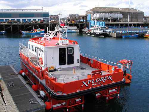 Barco profesional barco de transporte de tripulación - ALN 065 ‘Xplorer’ - Alnmaritec - hidrojet intraborda