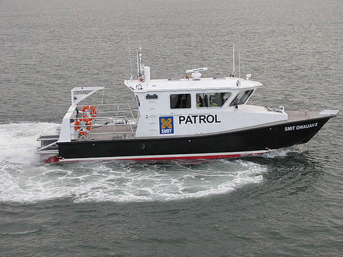 Barco profesional barco de vigilancia - ALN 130 ‘Smit Owaijah II’ - Alnmaritec - intraborda